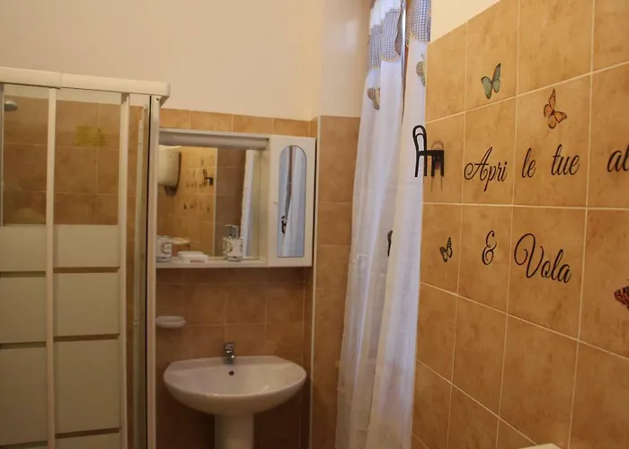 Sul Sentiero Di Francesco *